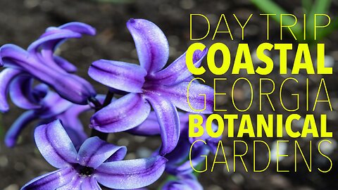 MY LITTLE VIDEO NO. 198--Coastal Geogia Botanical Gardens, Savannah