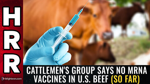 Cattlemen's group says NO mRNA VACCINES in U.S. beef (so far)