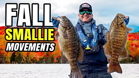 Fall Smallmouth Movements EXPLAINED (Weather & Temperature)
