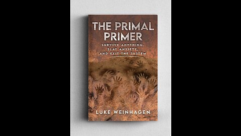 Primal Primer: Chapter 3 - Two Braid Weave
