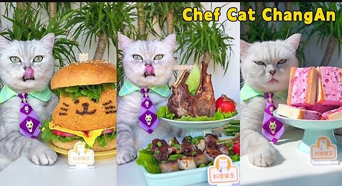 Join Me For The Warmest Food Videos Of Winter 2023!🤗🥘|Cat Cooking Food|Cute And Funny Cat