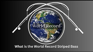 What is the World Record Striped Bass
