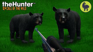 Bear Hugs, Hunt Club | theHunter: Call of the Wild (PS5 4K)