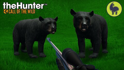 Bear Hugs, Hunt Club | theHunter: Call of the Wild (PS5 4K)