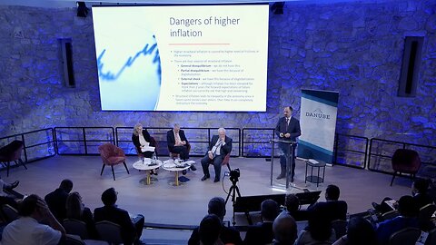 The Third Danube Geopolitical Summit - DAY 1 - PANEL2