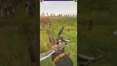 Mount & Blade II: Bannerlord Mods 2022 Viral TikTok Gaming Clips Reposts 136.7K Followers 3.5M Likes