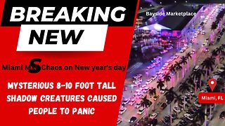 Miami Mall Chaos - 8-10" Creatures reported