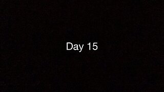 Day 15