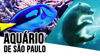 Aquário de São Paulo - (Sao Paulo Aquarium) - Viajando com a Cintia