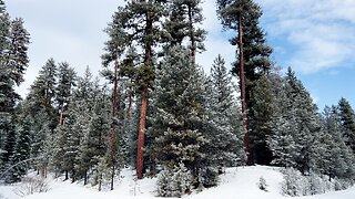 Hiking Ochoco National Forest, a Hidden Winter Adventuring Gem! 4K Bandit Springs Prineville Oregon