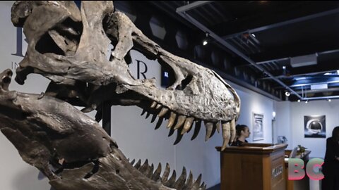 T. rex skeleton sells for more than $5M at auction