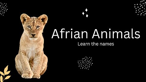 African Animals