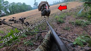 North Carolina Gobbler Down 2024