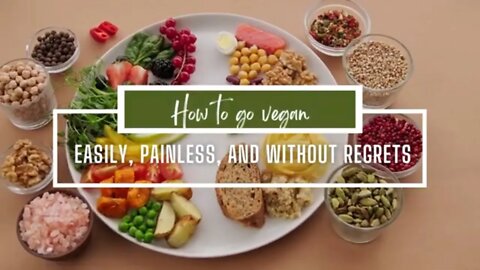 How To Go Vegan Easily, Painless, And Without Regrets [ easiest way to go vegan]