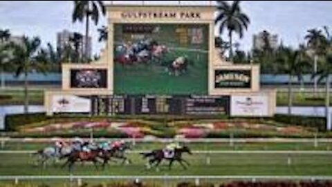 TAMPA BAY AND GULFSTREAM HORSE RACING PLAYS CHRISTMAS EVE DEC 24