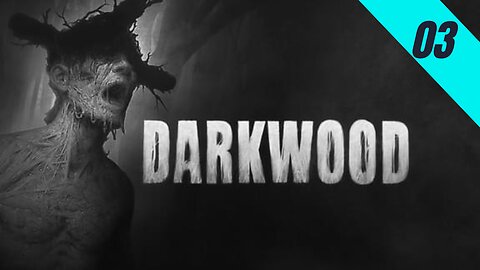 Pehilux Jogando Darkwood - 03