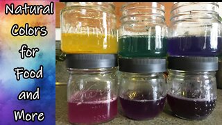 Natural Plant Based Colorings for Food and More