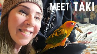 AMTRAK USA to CANADA 🇨🇦 EXPRESS TRAIN is OPEN AGAIN! Our New Parrot Vlog