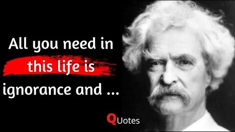 All you need in this life #2|Mark twain|quotes #quotes #marktwain #wisdom