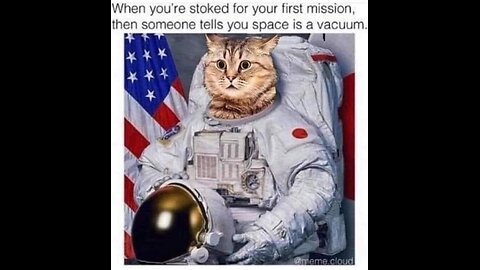 Space Cat! #memes #silly #funny #astronomy #astronaut #space #cat #vacuum