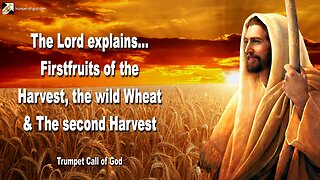 June 4, 2006 🎺 The Lord explains... Firstfruits of the Harvest, the wild Wheat and the second Harvest