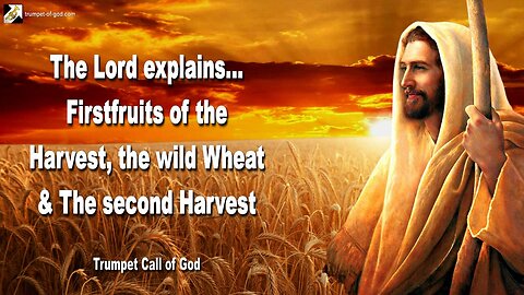 June 4, 2006 🎺 The Lord explains... Firstfruits of the Harvest, the wild Wheat and the second Harvest