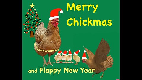 Merry Chickmas Card for Maureen (our EXI Chicken Farmer!)