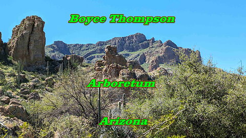 Boyce Thompson Arboretum Arizona