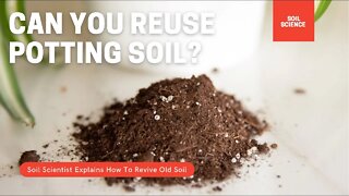 Can You Reuse Old Potting Soil? How To Recharge Old Peat Moss Potting Soil. | Gardening in Canada