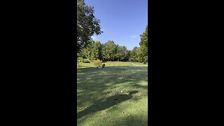 Hole Vlog: No. 5 at The Links