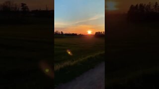 Golden sunset and nature sounds