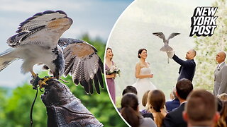 Will these real life 'love' birds be at your next wedding?