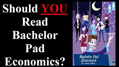 Should You Buy Bachelor Pad Economics? | Book Review.