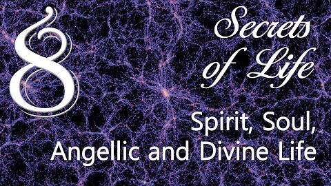 Spirit Life, Soul Life, Angelic Life and Divine Life... The Creator explains ❤️ Secrets of Life revealed thru Gottfried Mayerhofer