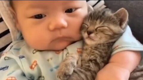 cute kid and cat
