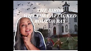 WHY DID "THE BIRDS" ATTACK?