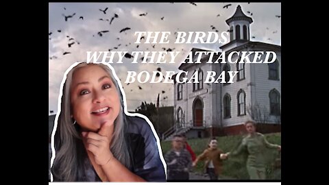 WHY DID "THE BIRDS" ATTACK?