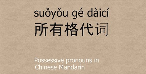Possessives Pronouns