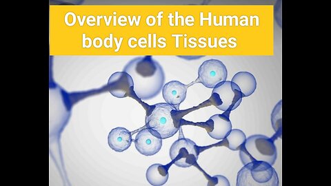 Overview of the Human body cells and tissues