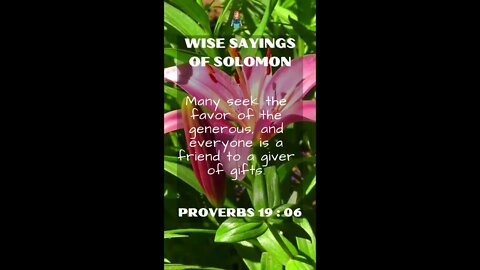 Proverbs 19:6 | NRSV Bible - Wise Sayings of Solomon