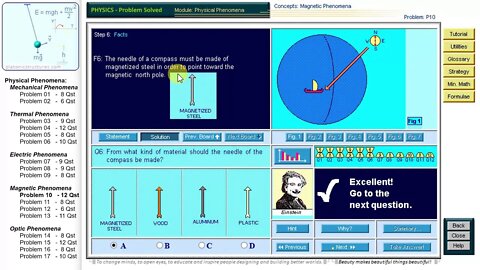 Physical Phenomena - Problem 10 - Magnetic Phenomena