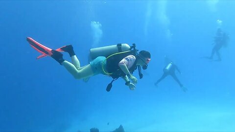 Cozumel Dive 1 San Francisco Reef