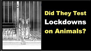 Did They Test Lockdowns on Animals? (Covidian Lies Interview #1)