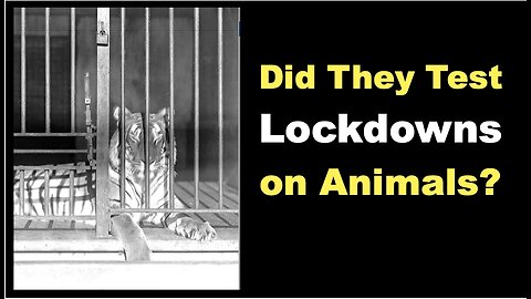 Did They Test Lockdowns on Animals? (Covidian Lies Interview #1)