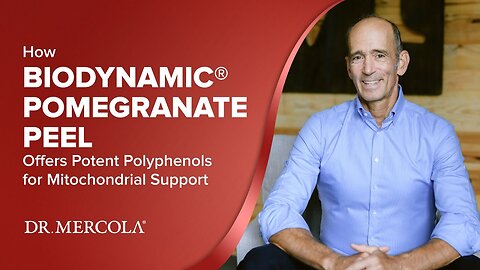 How BIODYNAMIC® POMEGRANATE PEEL Offers Potent Polyphenols for Mitochondrial Support