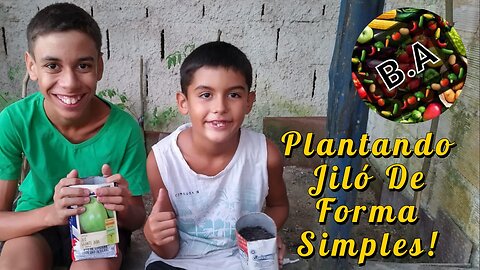 Plantando JILÓ Em Casa de FORMA SIMPLES! #diygarden #hortaorganica #jiló