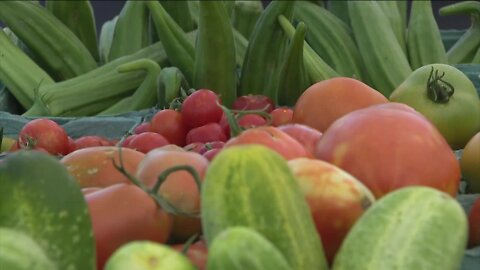 Denver pay-what-you-can farmers market sees major increase in customers