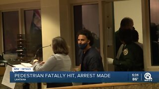 Man arrested in Lantana hit-and-run makes first court appearance