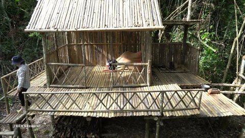 2* Build a bamboo fence around the house to set up animal traps.