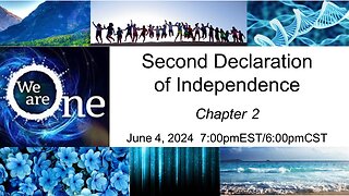 Second Declaration of Independence Chapter 2